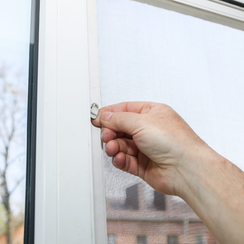 Man is installing the mosquito net on the window. Protection from bugs.